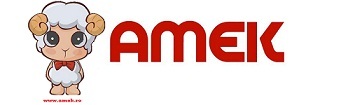amek logo (3) Rumunsko.jpg